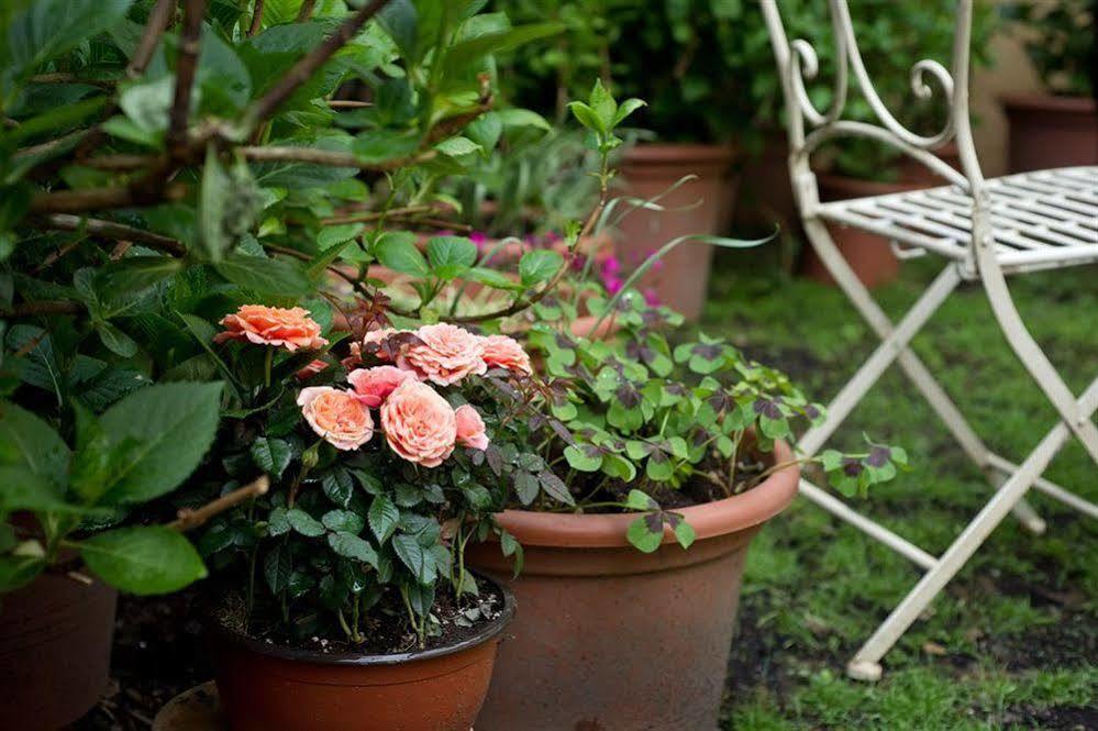 Il Relais Dell'Abbazia Bed and Breakfast Verona Eksteriør billede